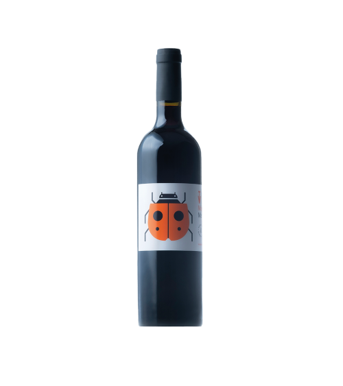 Vi negre Marieta de Vins de Taller