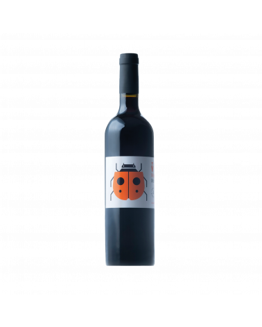Vi negre Marieta de Vins de Taller
