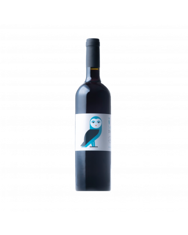 Vi negre Òliba de Vins de Taller